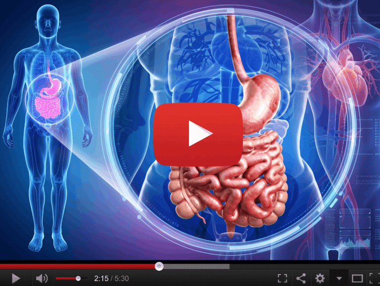 gut health